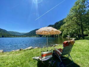 Lire la suite à propos de l’article Un bel été dans les Vosges